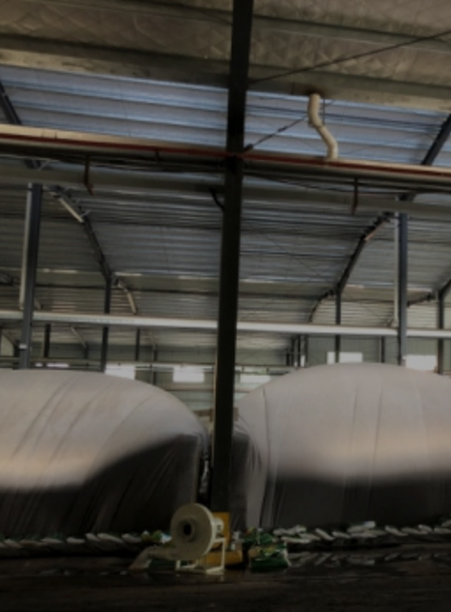 贝斯特 - 全球最奢华的游戏平台